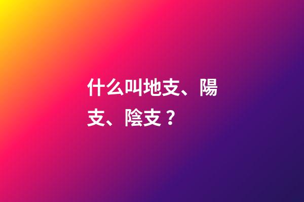 什么叫地支、陽支、陰支？